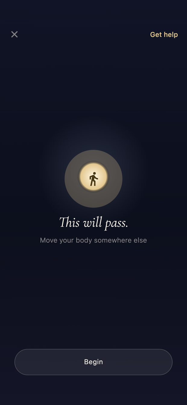 A journey: 'This will pass', then the four Change Your Environment steps pressed one by one — stand up, go where people are, find light, drink a glass of water — and 'How are you feeling right now?'